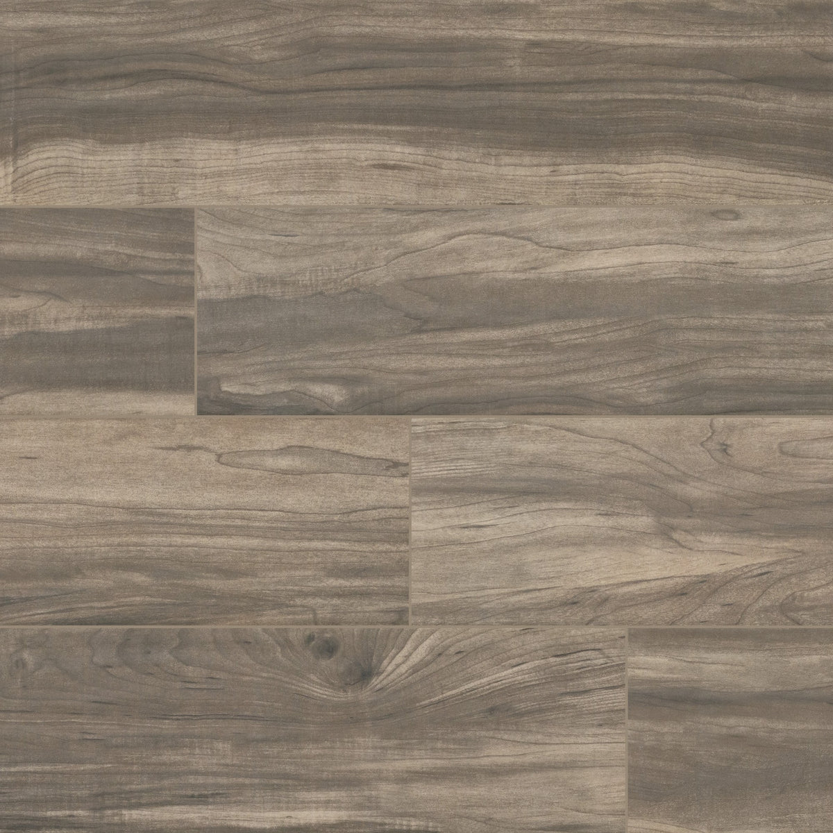 Carolina Timber