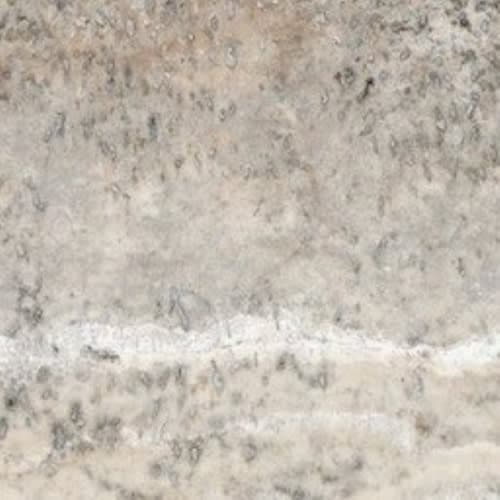 Silver Ash