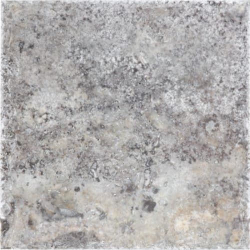 Silver Ash