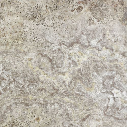 Silver Ash