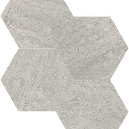 Anciano Grigio