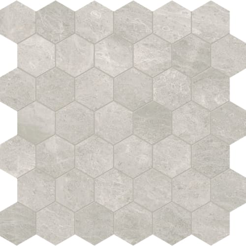 Anciano Grigio