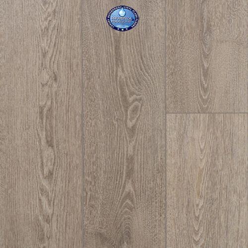 Concorde Oak