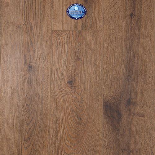Concorde Oak