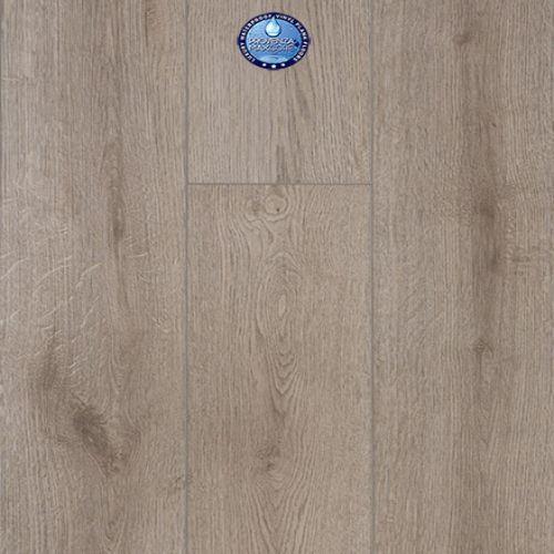 Concorde Oak
