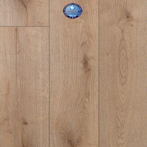 Concorde Oak