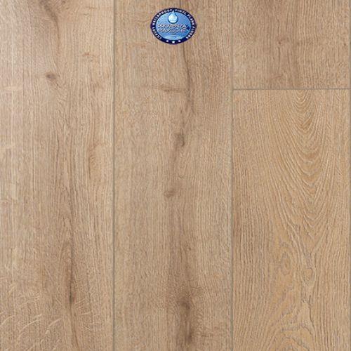 Concorde Oak