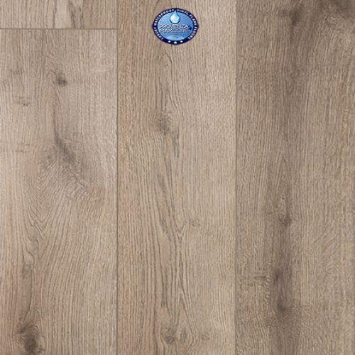 Concorde Oak