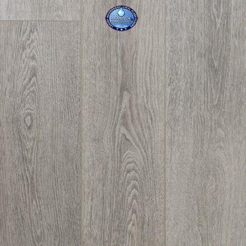 Concorde Oak