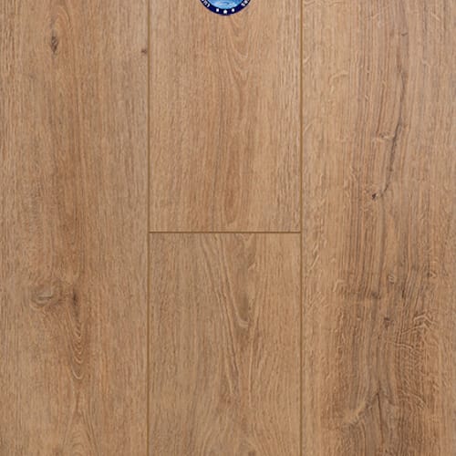 Concorde Oak