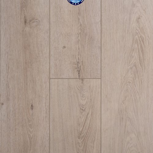 Concorde Oak