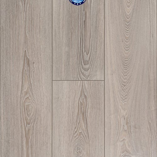 Concorde Oak