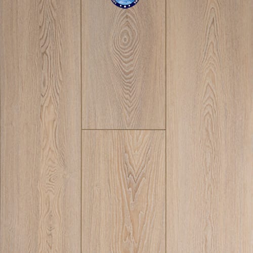 Concorde Oak