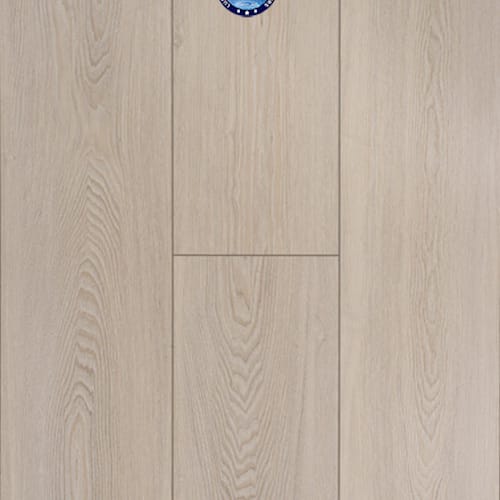 Concorde Oak