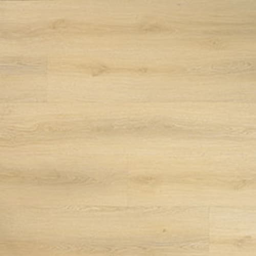 Laurel