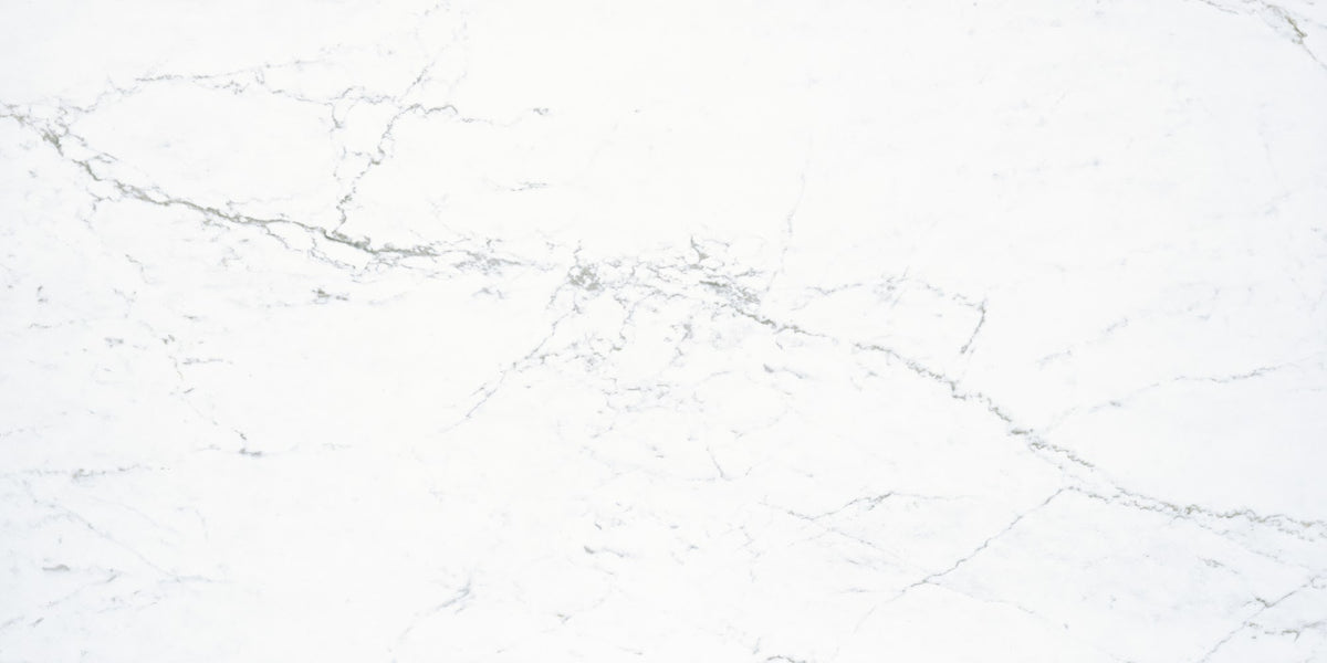 Jax Avenue White