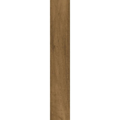 Bellanova