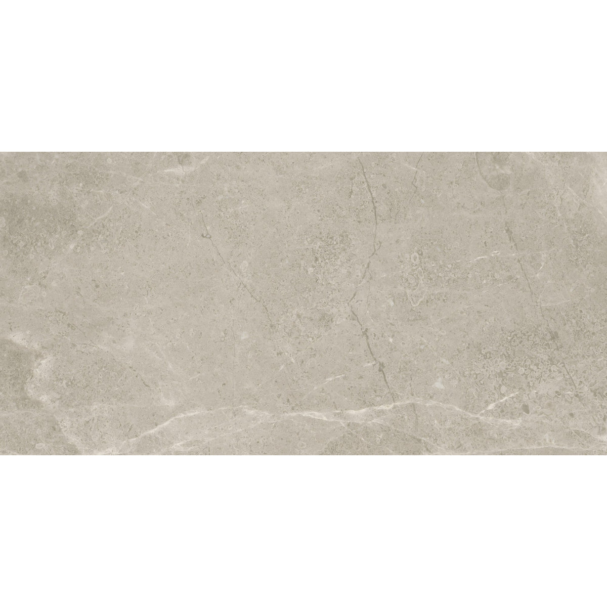 Ritz Gray