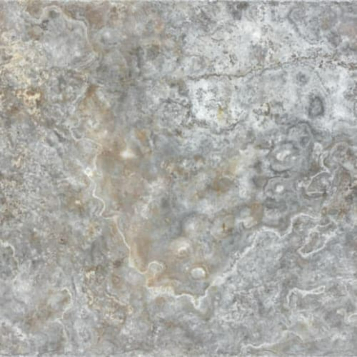 Silver Ash