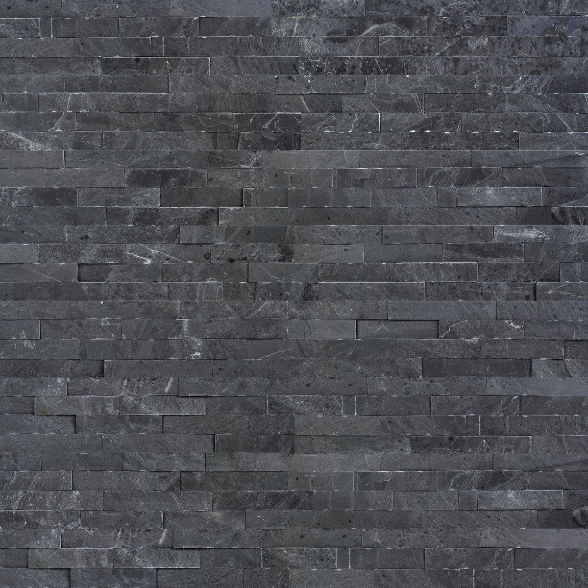 Premium Black Ledger Panel
