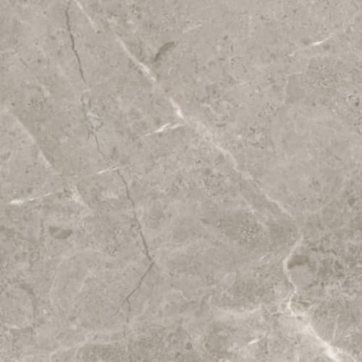 Ritz Gray