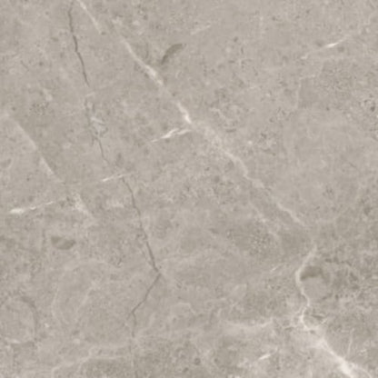 Ritz Gray