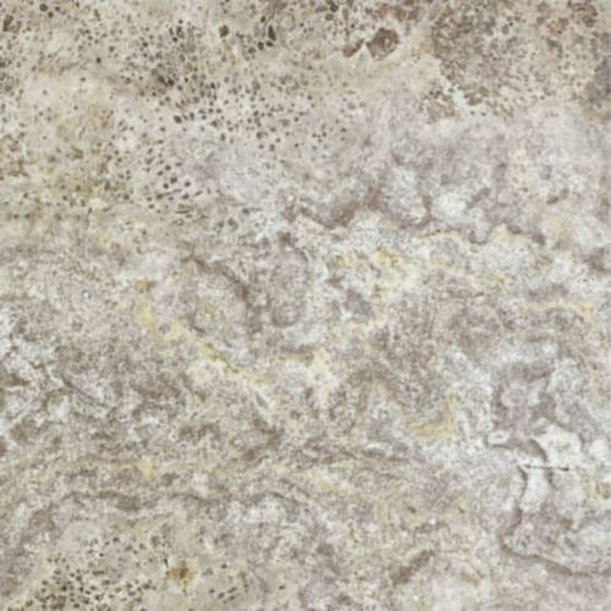 Silver Ash