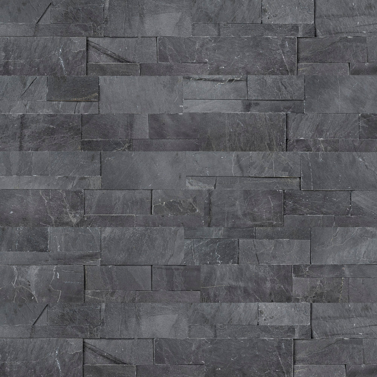 Premium Black XL Ledger Panel