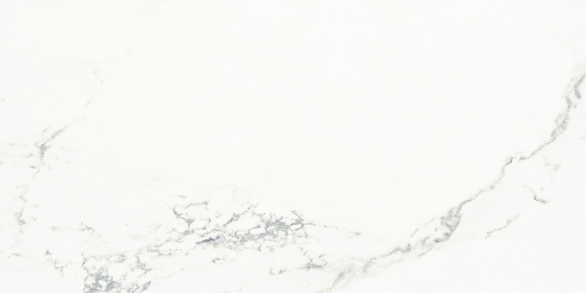 Jax Avenue White