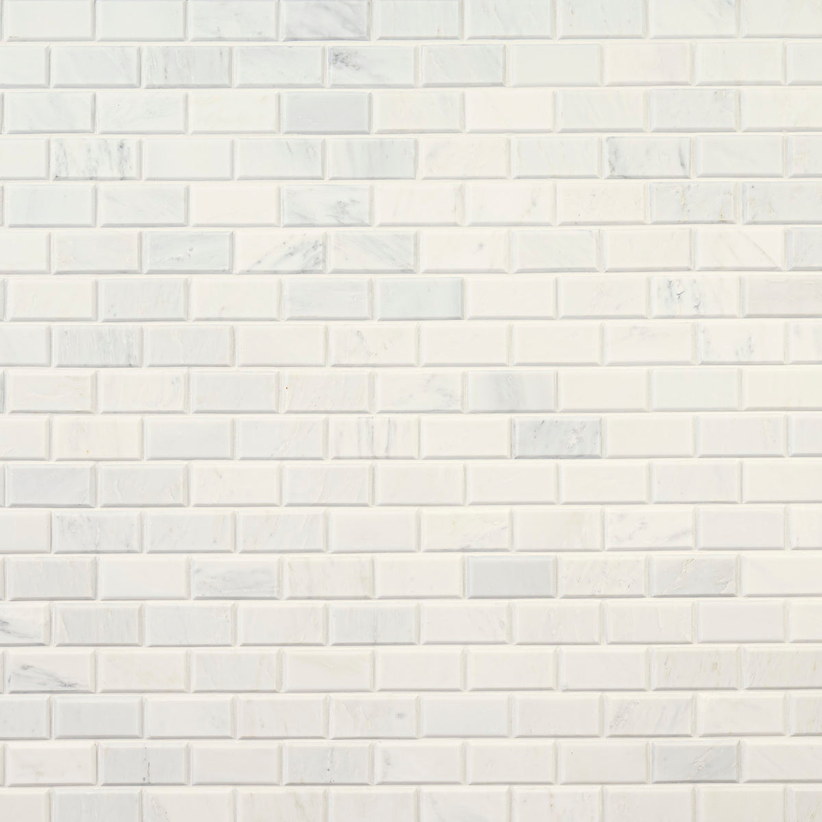 Arabescato Carrara Subway Tile