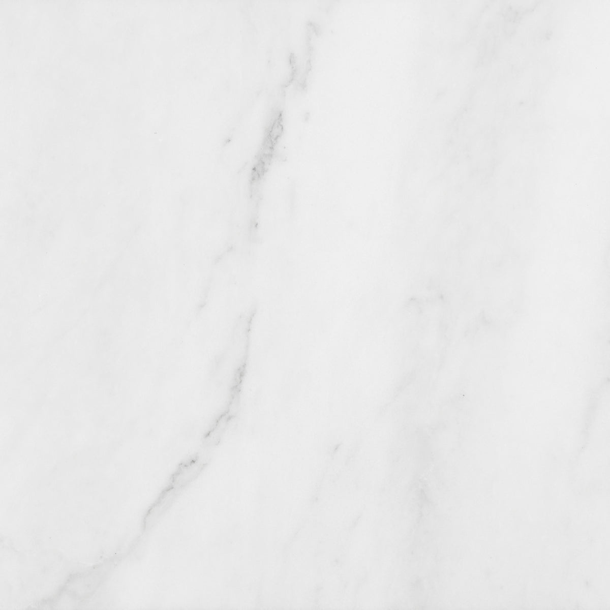 Bianco Venatino