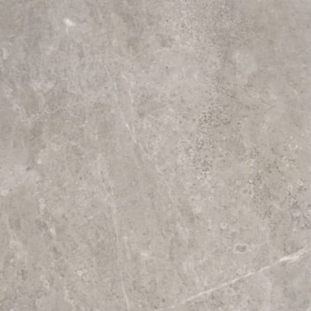 Ritz Gray