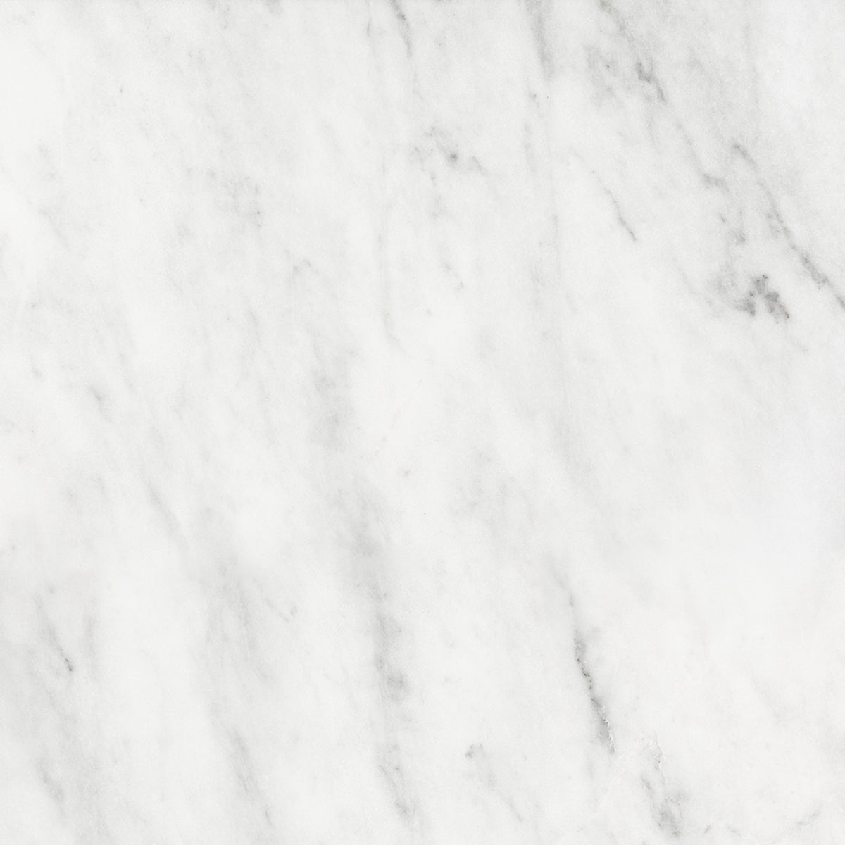Bianco Venatino
