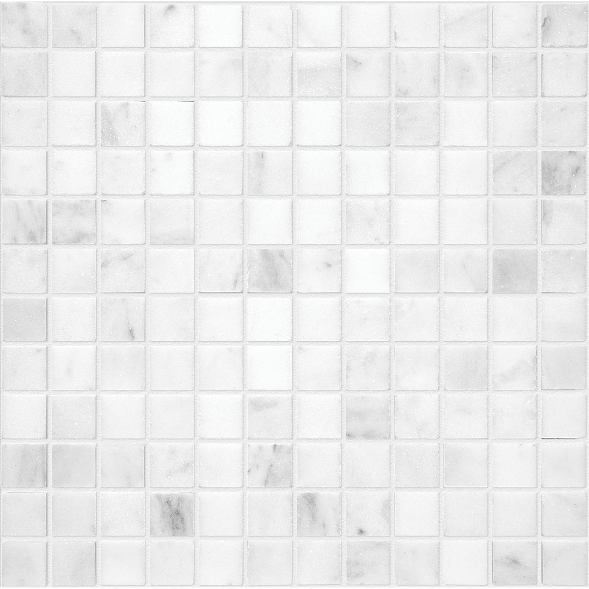 Bianco Venatino