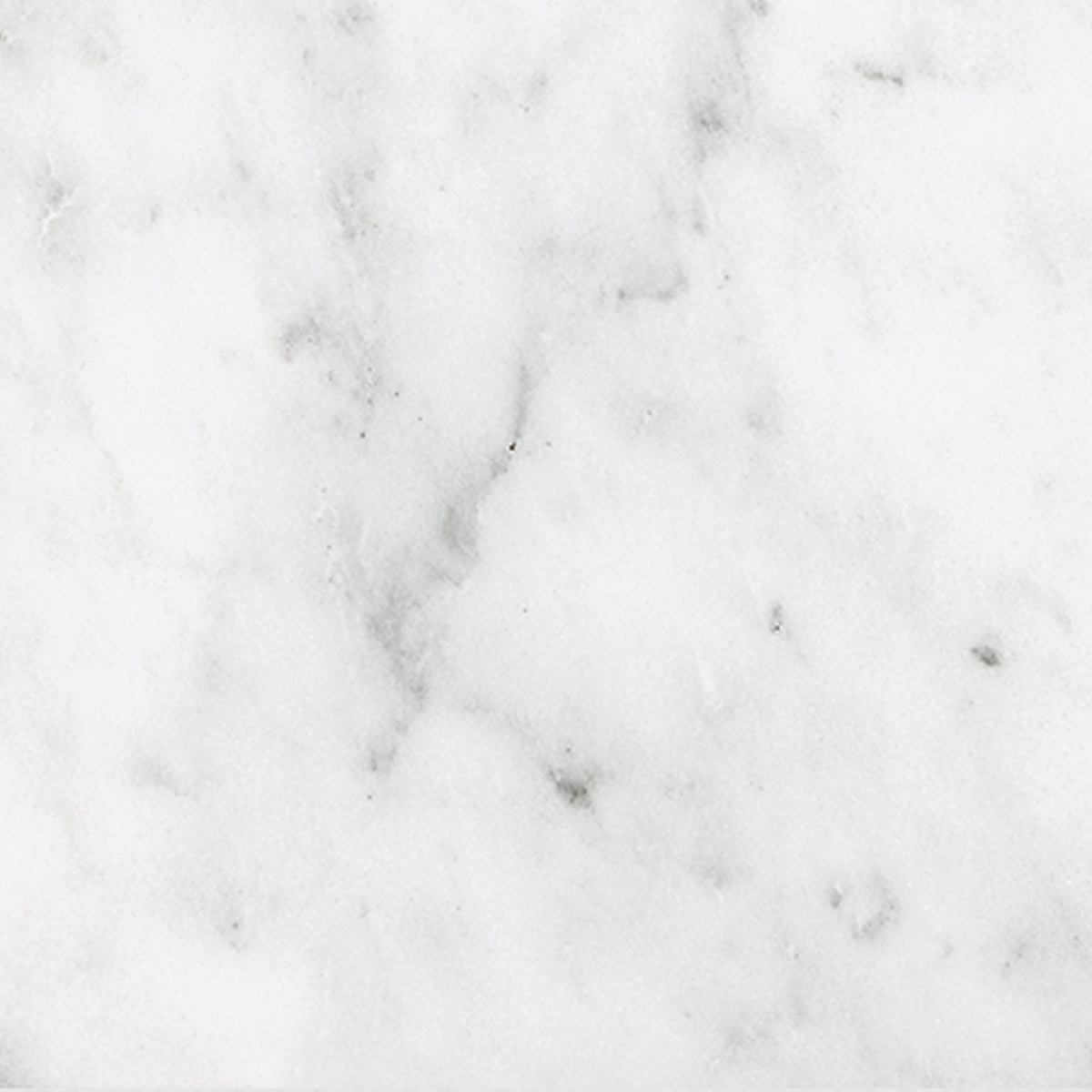 Bianco Venatino