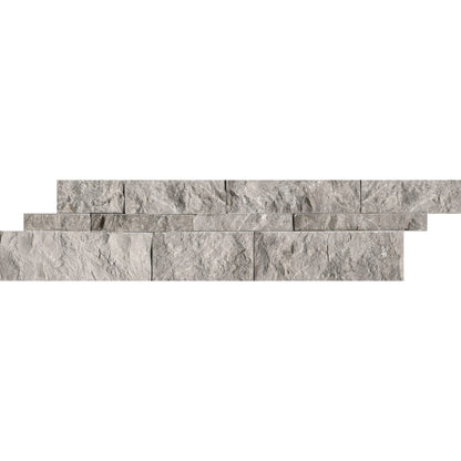 Ritz Gray