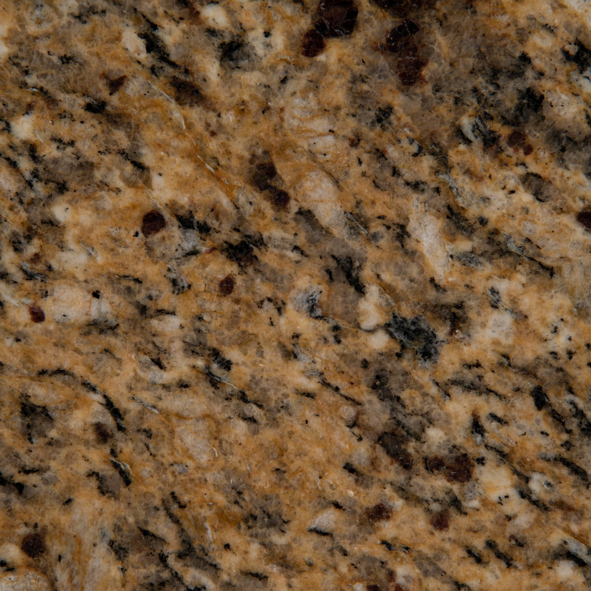 New Venetian Gold Slab