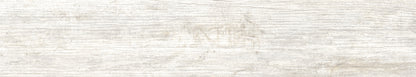 Forest Wood
