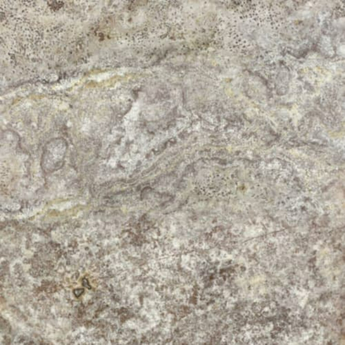 Silver Ash