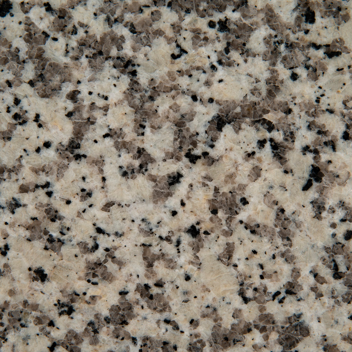 Crema Atlantico Slab
