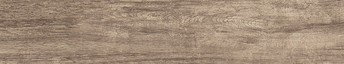 Forest Wood