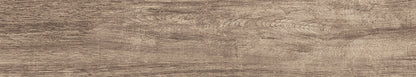 Forest Wood