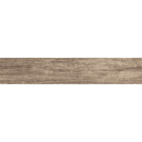 Forest Wood