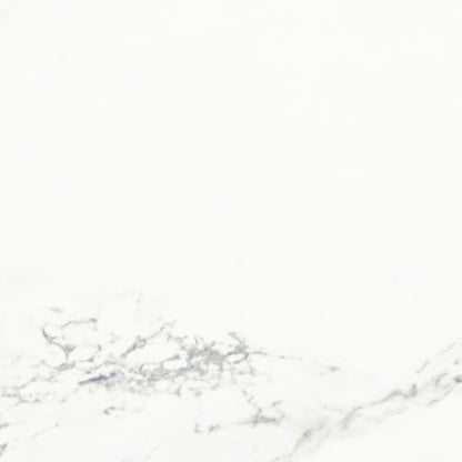 Jax Avenue White