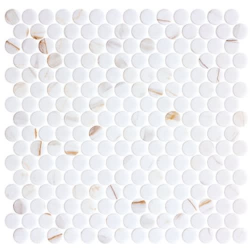 Carolina Dots Collection