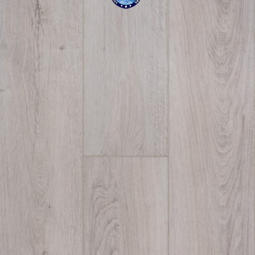 Concorde Oak