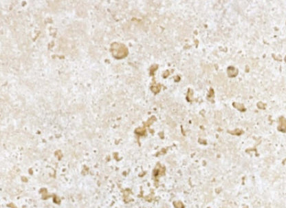 Travertine