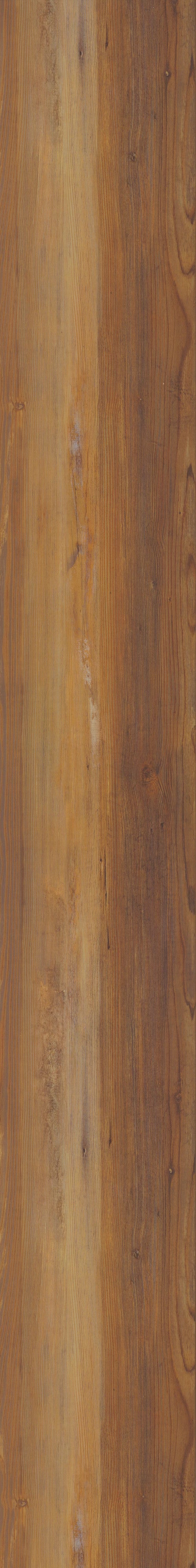 COREtec Original Enhanced Xl VV035