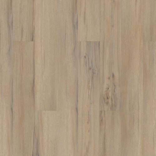 #sku_VV023_00573