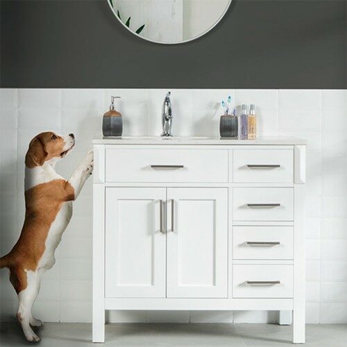 Otto Home Goods Vanities